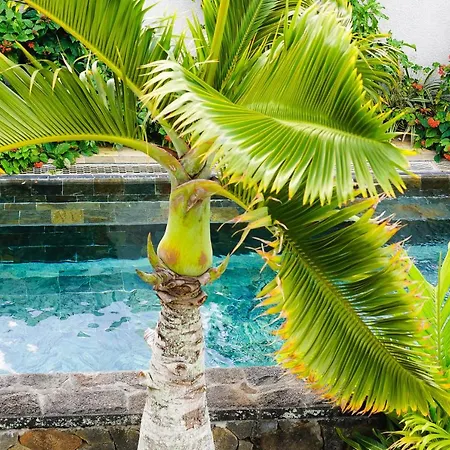 Luxury Villa L'Ile Maurice Pointe aux Canonniers Exteriér fotografie